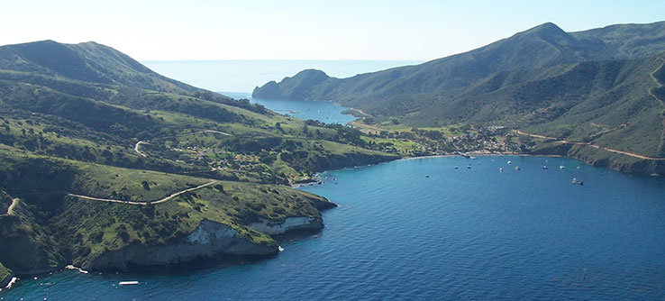 marinelli-conserving-marine-life-catalinas-coast-h1_6665